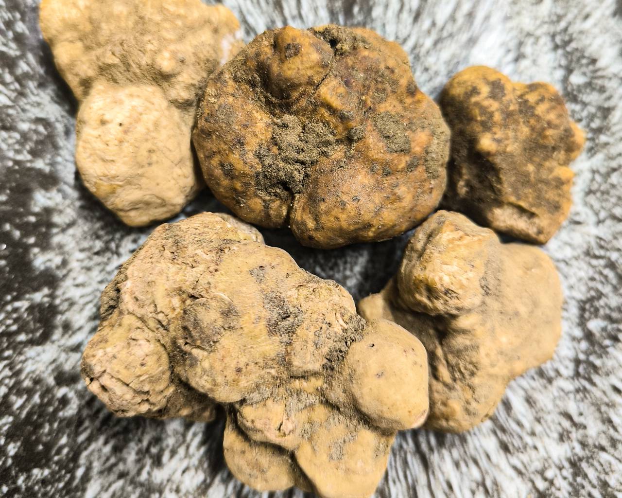 Tartufi Bianchi dell'Antica Via